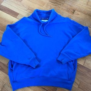 Aritzia TNA BILLI SWEATSHIRT!